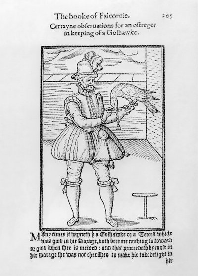 Ein Falkner mit seinem Habicht, Illustration aus 